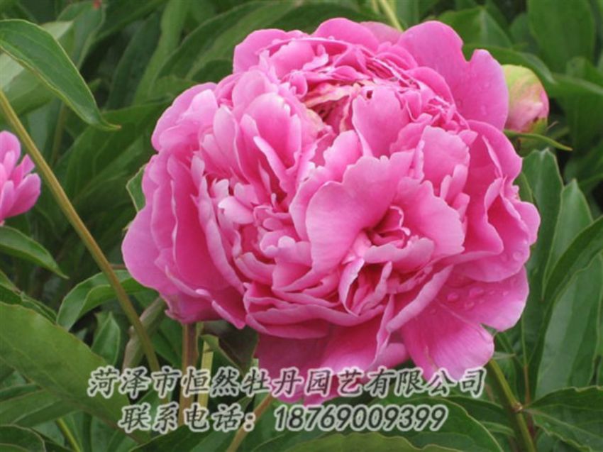 點(diǎn)擊查看詳細(xì)信息<br>標(biāo)題：月照山河 閱讀次數(shù)：1069
